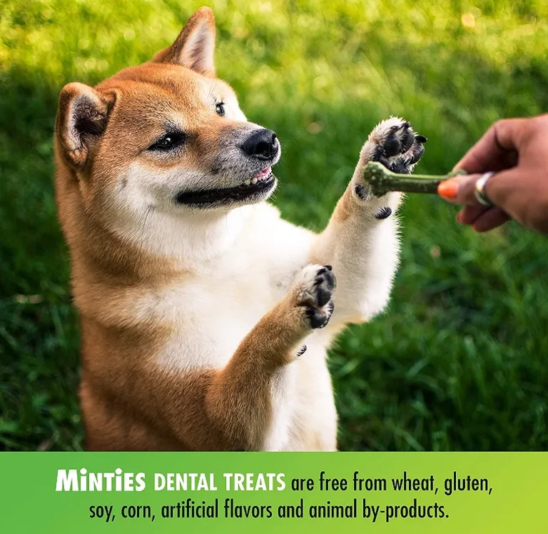 Sergeants Minties Dental Treats for Dogs Tiny Small Photo 4