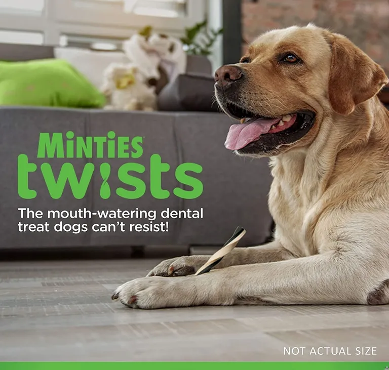 Sergeants Minties Twists Dental Treats Large Photo 3