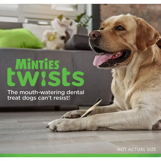 Sergeants Minties Twists Dental Treats Large Photo 3