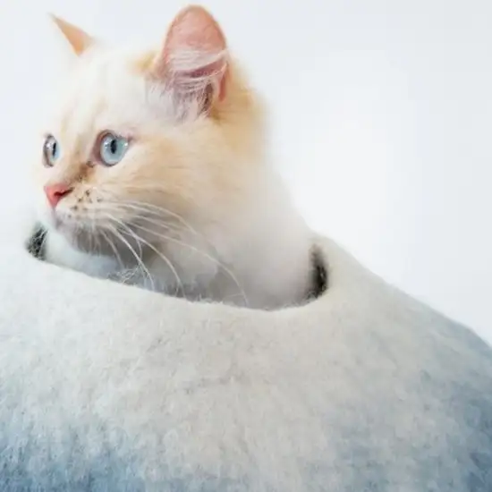 Sky Blue and White Cat Cave Bed Photo 3