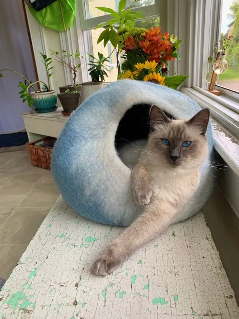 Sky Blue and White Cat Cave Bed Photo 4