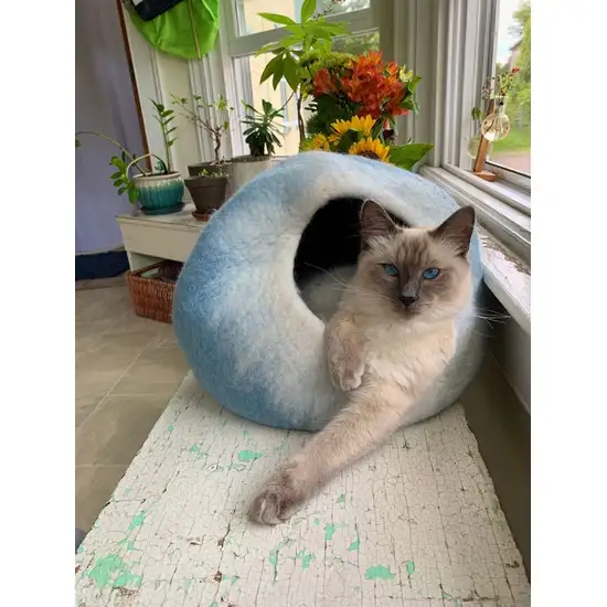 Sky Blue and White Cat Cave Bed Photo 4