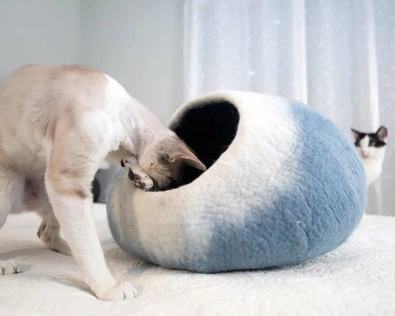 Sky Blue and White Cat Cave Bed Photo 3