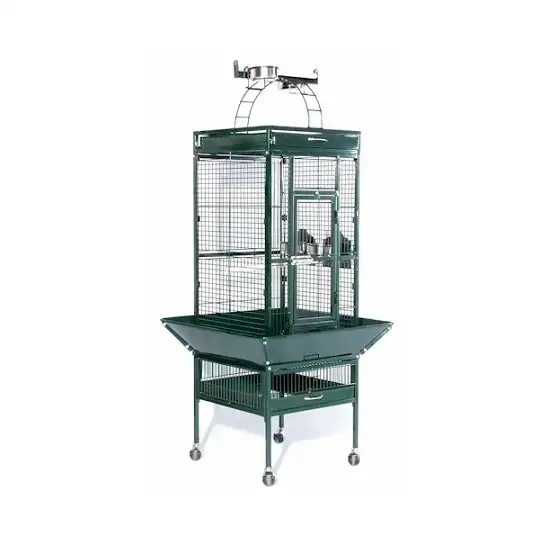 Small Wrought Iron Select Bird Cage - Sage Green Photo 1