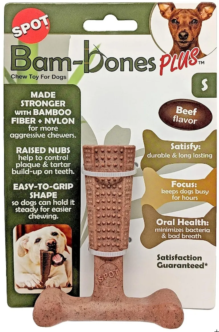 Spot Bambone Plus Beef Dog Chew Toy Small Photo 1