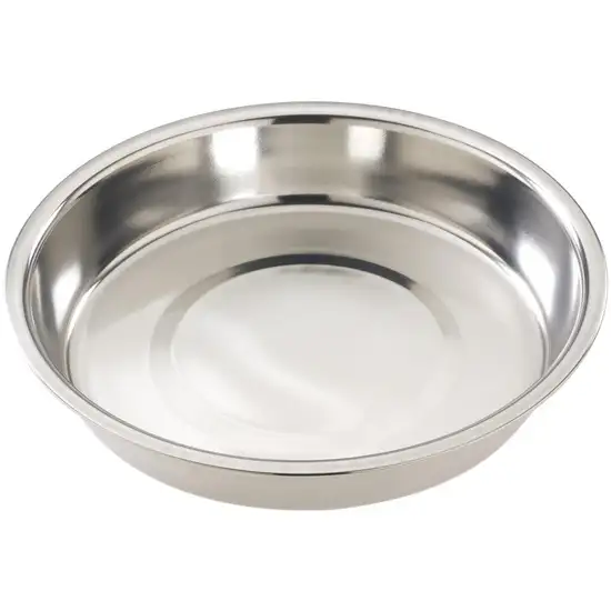 Spot Stainless Steel Puppy Feeding Dish Photo 1