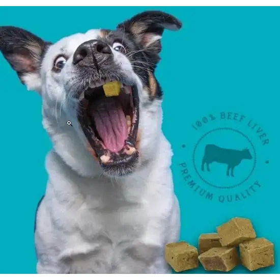 Stewart Beef Liver Freeze Dried Dog Training Treats Photo 5