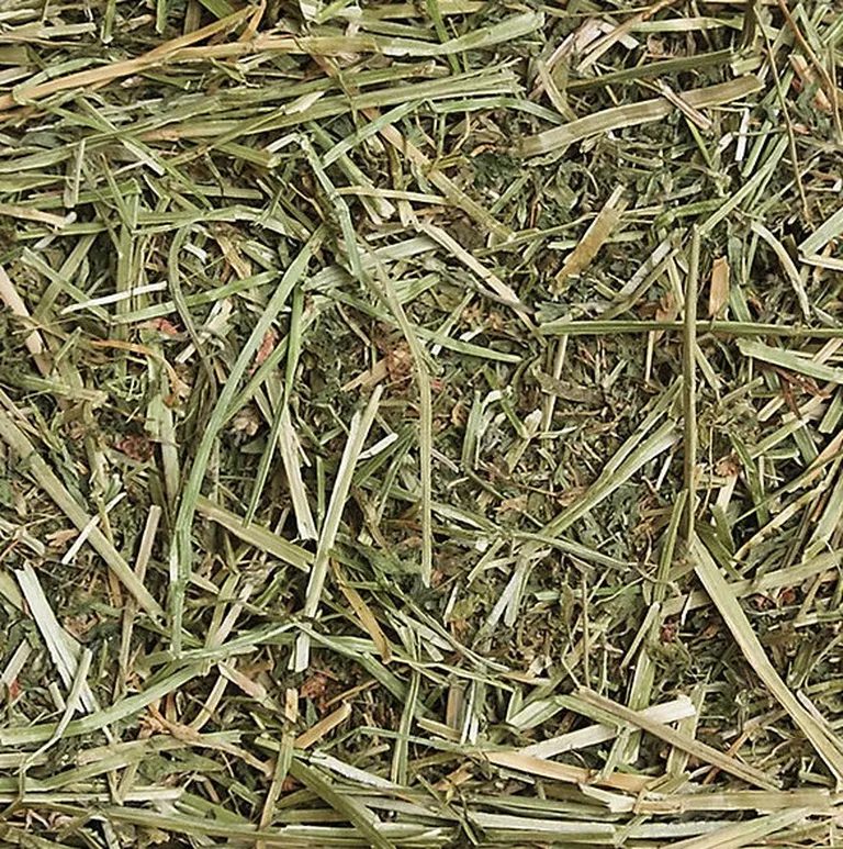 Sunseed SunSations Natural Alfalfa Hay Photo 2