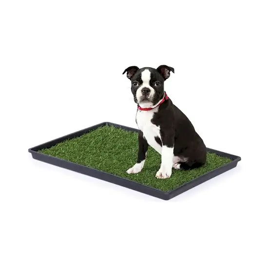 Tinkle Turf - Large Photo 1