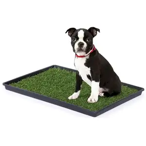 Photo of Tinkle Turf - Large