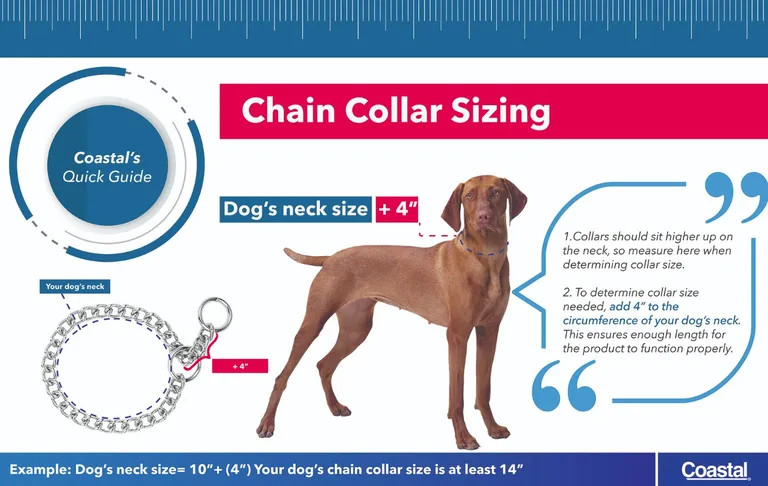 Titan Choke Chain Training Collar - Fine Photo 2