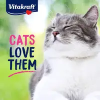 Photo of VitaKraft Lick N Lap Snack Salmon Cat Treat