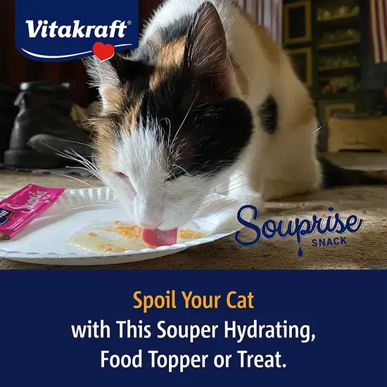 VitaKraft Salmon Souprise Lickable Cat Snack Photo 5