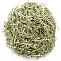 Photo of Vitakraft Fresh & Natural Timothy Premium Sweet Grass Hay