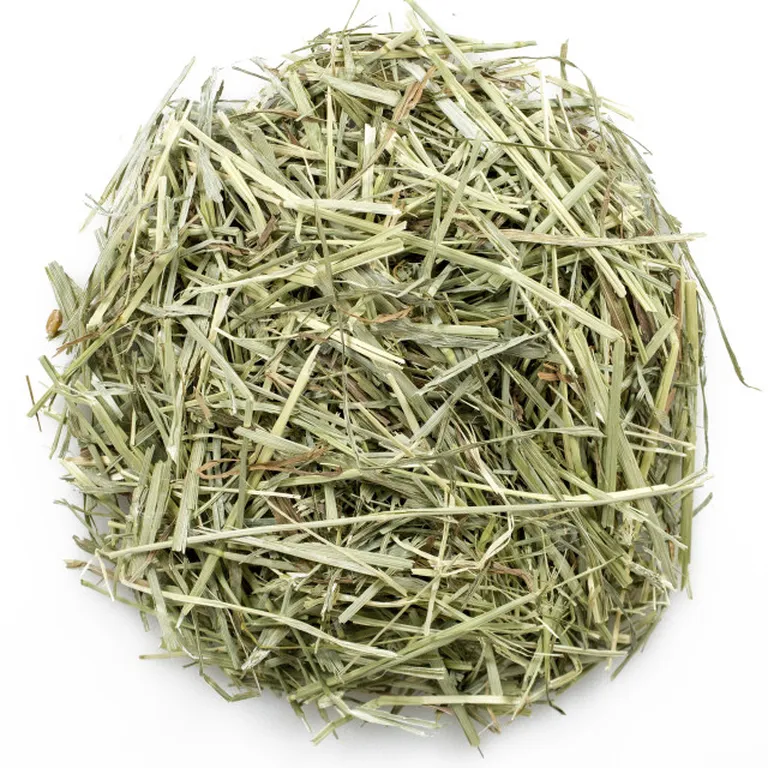 Vitakraft Fresh & Natural Timothy Premium Sweet Grass Hay Photo 1