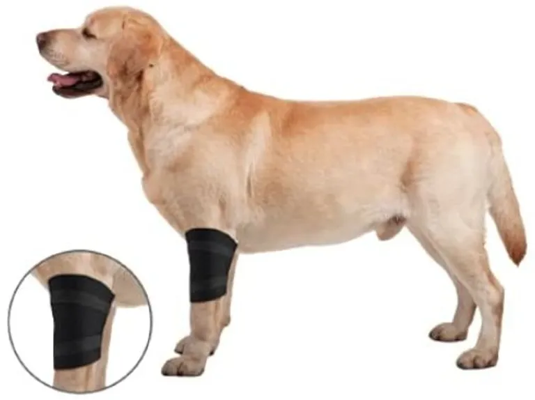 ZenPet Elbow Protector Ortho Wrap Photo 1