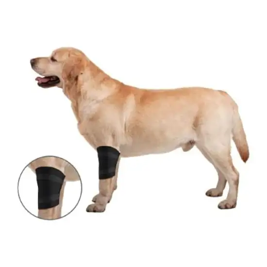 ZenPet Elbow Protector Ortho Wrap Photo 3