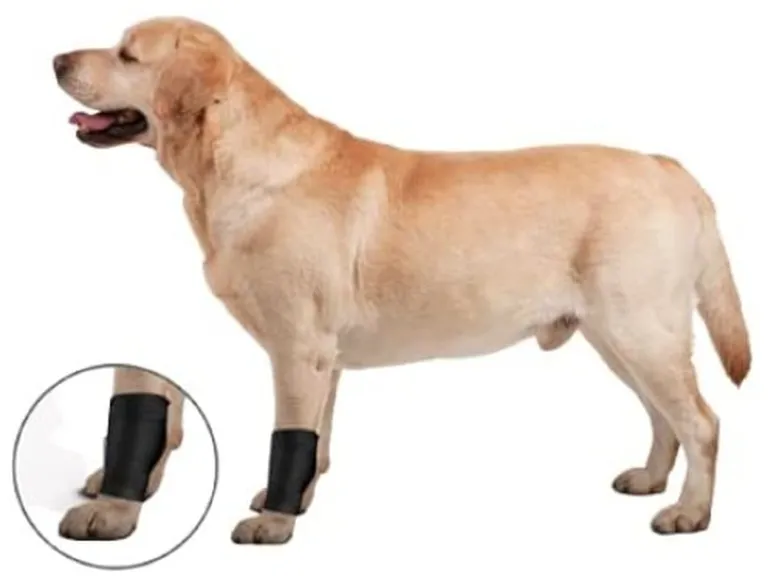 ZenPet Ligament Protector Ortho Wrap Photo 1