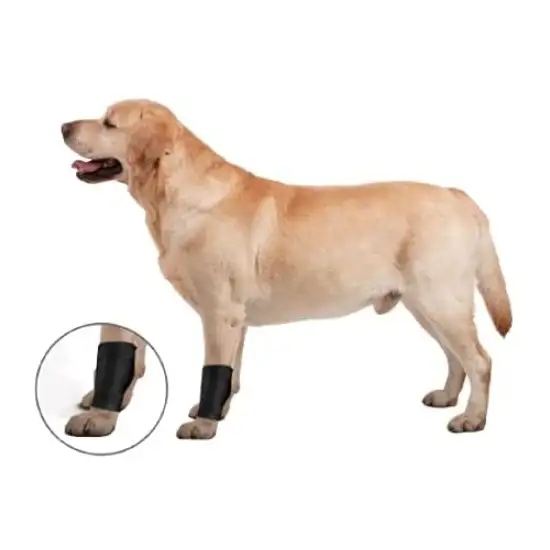 ZenPet Ligament Protector Ortho Wrap Photo 3