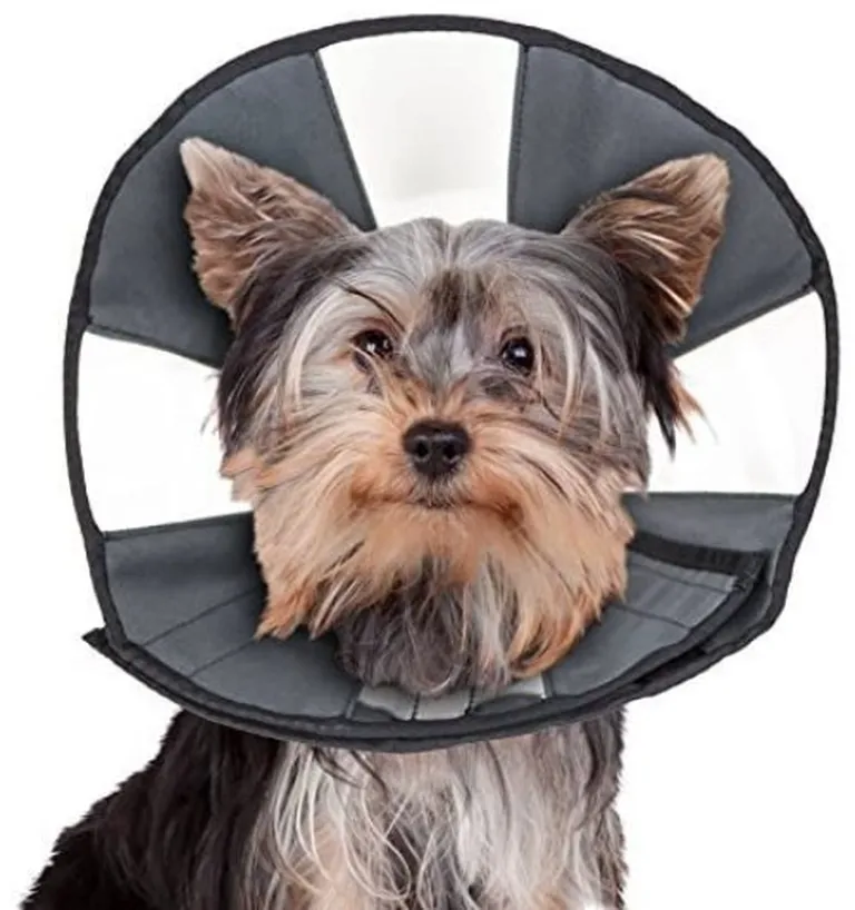 ZenPet Zen Cone Soft Recovery Collar Photo 2