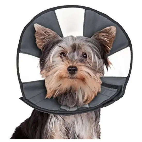 ZenPet Zen Cone Soft Recovery Collar Photo 3