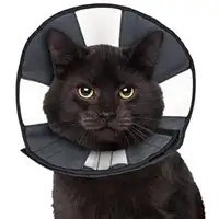 Photo of ZenPet Zen Cone Soft Recovery Collar