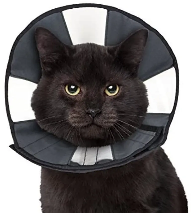 ZenPet Zen Cone Soft Recovery Collar Photo 1