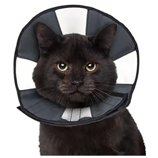 ZenPet Zen Cone Soft Recovery Collar Photo 2