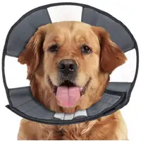 Photo of ZenPet Zen Cone Soft Recovery Collar