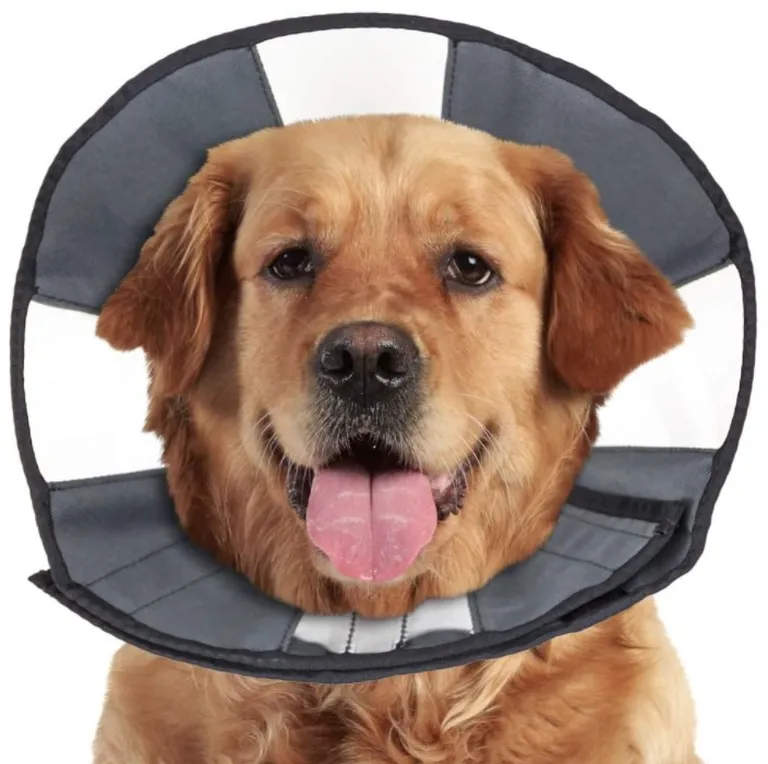 ZenPet Zen Cone Soft Recovery Collar Photo 1