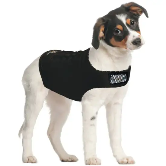 ZenPet Zen Dog Calming Compression Shirt Photo 4