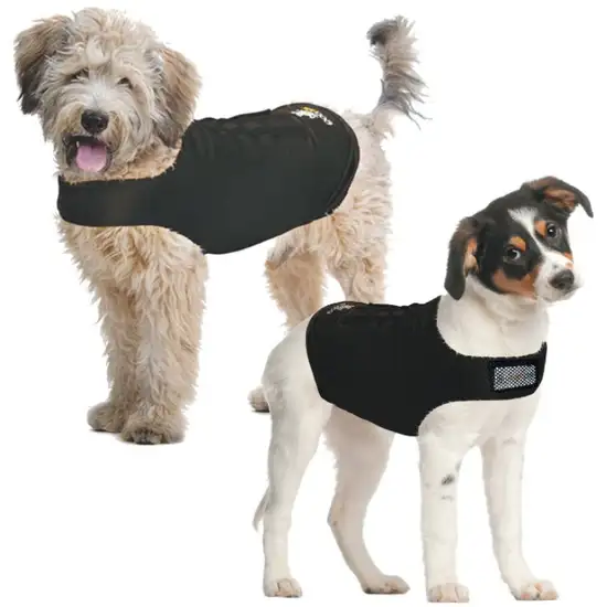 ZenPet Zen Dog Calming Compression Shirt Photo 3