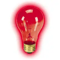 Photo of Zilla Incandescent Night Red Heat Bulb for Reptiles