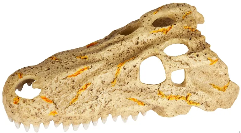 Zilla Rapid Sense Decor Crocodile Skull Photo 4