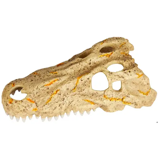 Zilla Rapid Sense Decor Crocodile Skull Photo 4