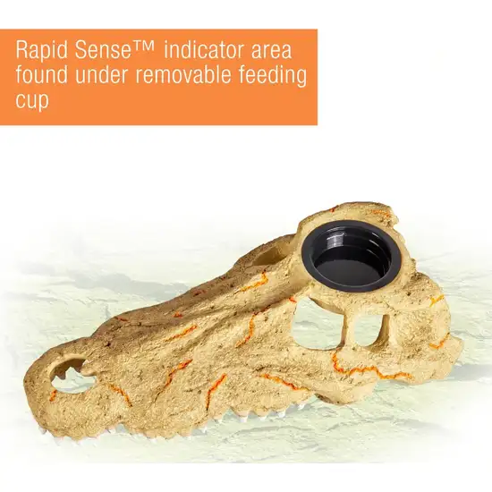 Zilla Rapid Sense Decor Crocodile Skull Photo 5