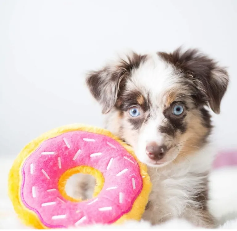 ZippyPaws Dog Donutz Toy Strawberry Sprinkle Photo 3