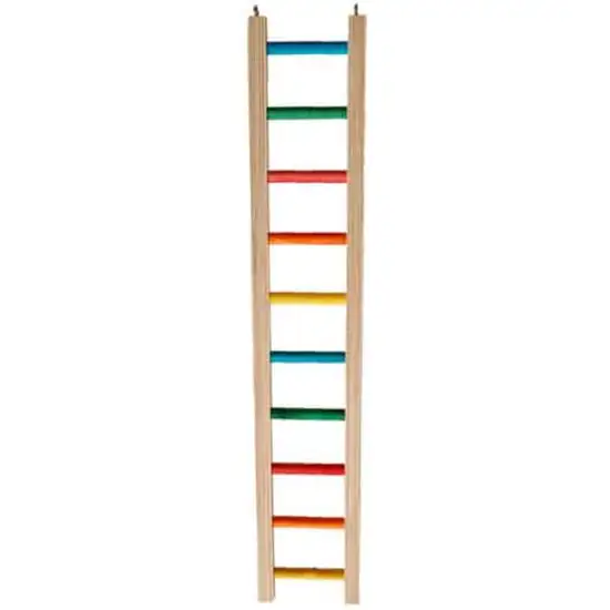 Zoo-Max Hardwood Bird Ladder 2' Photo 1