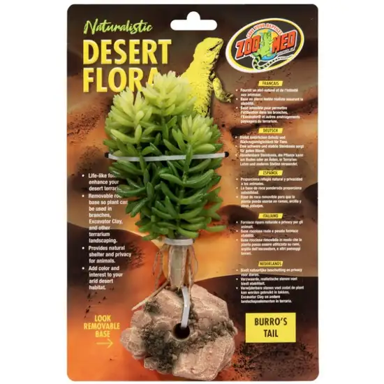 Zoo Med Burros Tail Desert Flora Terrarium Plant Photo 1