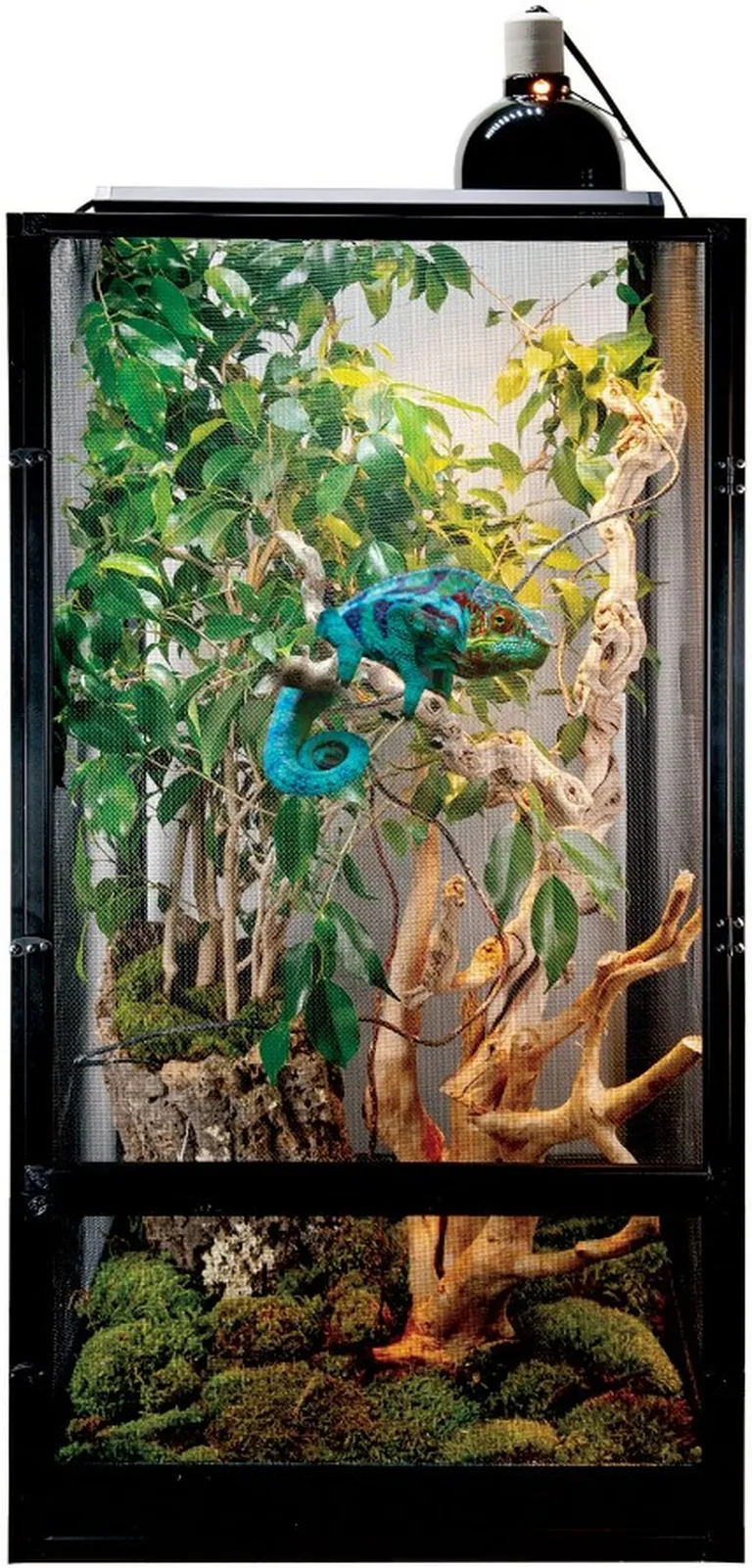 Zoo Med Deluxe ReptiBreeze Chameleon Kit Starter Kit for All Old World Chameleon Species Photo 2