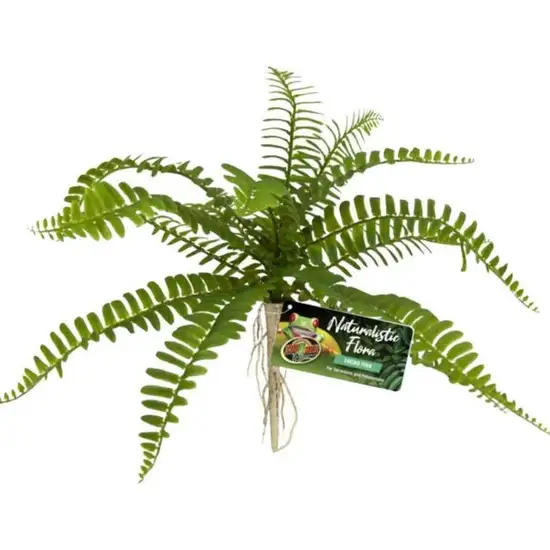 Zoo Med Naturalistic Flora Sword Fern Photo 1